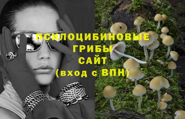 mdpv Кукмор